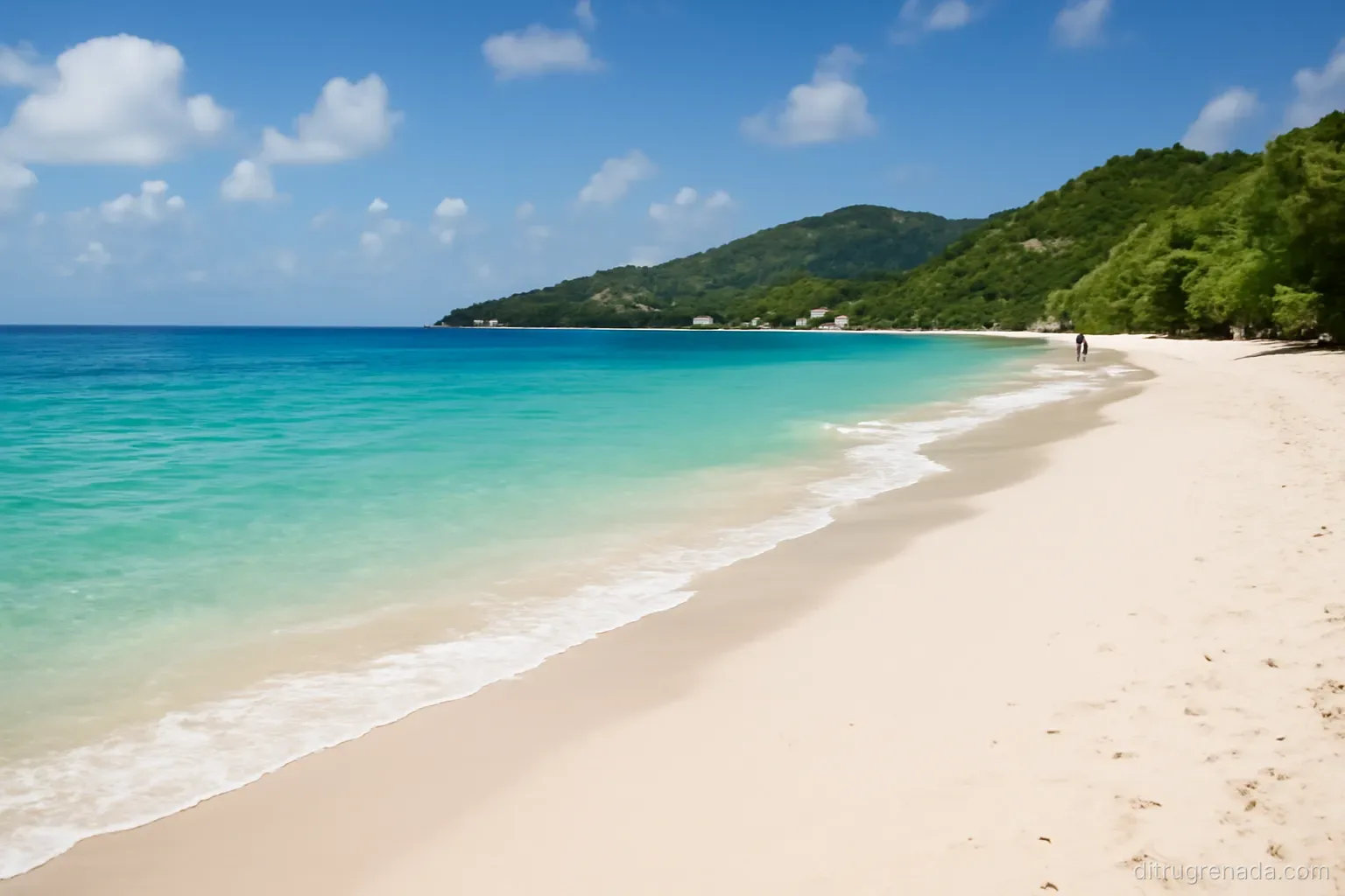 Chuẩn bị gì trước khi làm di trú Grenada?