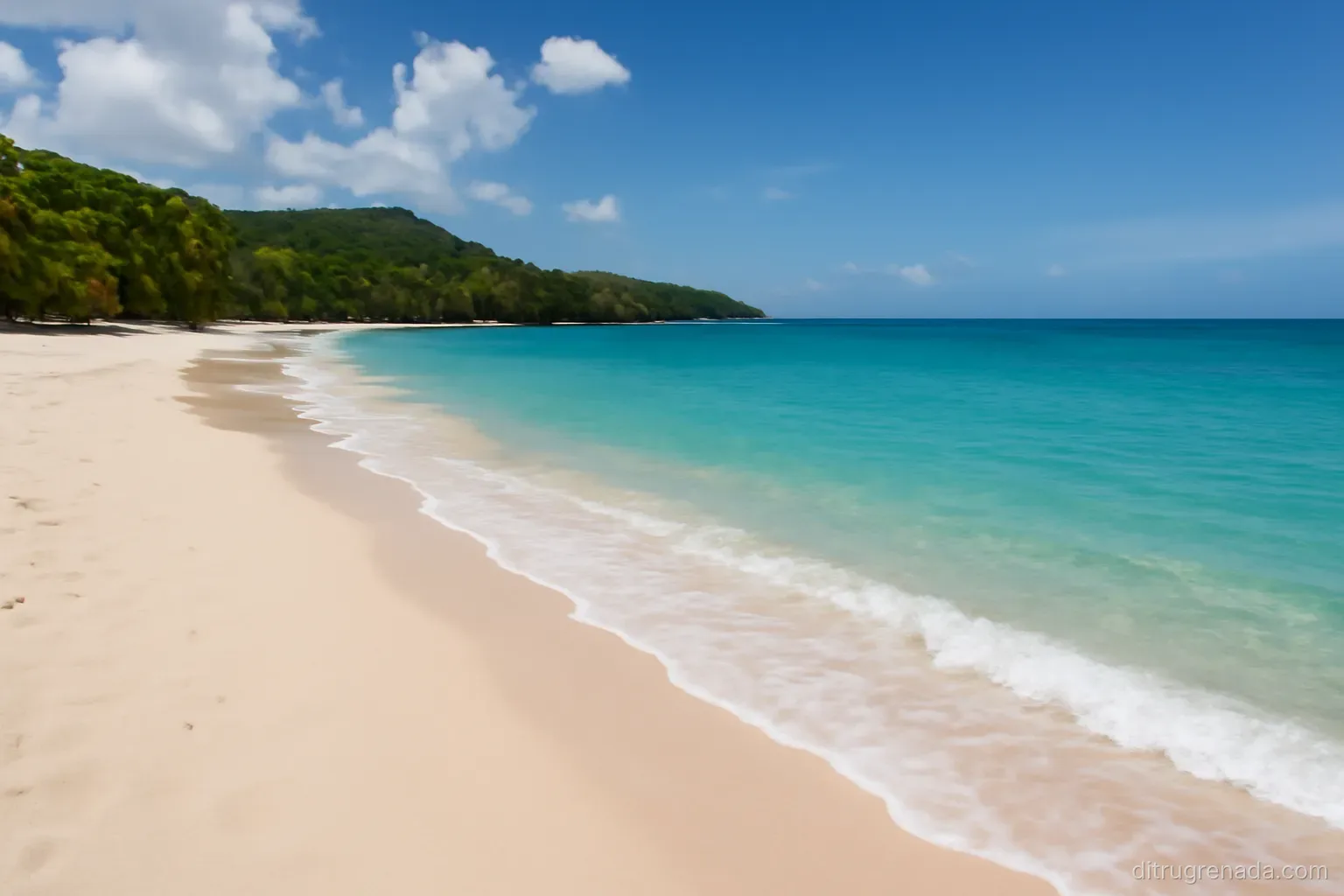 Lộ trình thực hiện di trú Grenada trong 2026