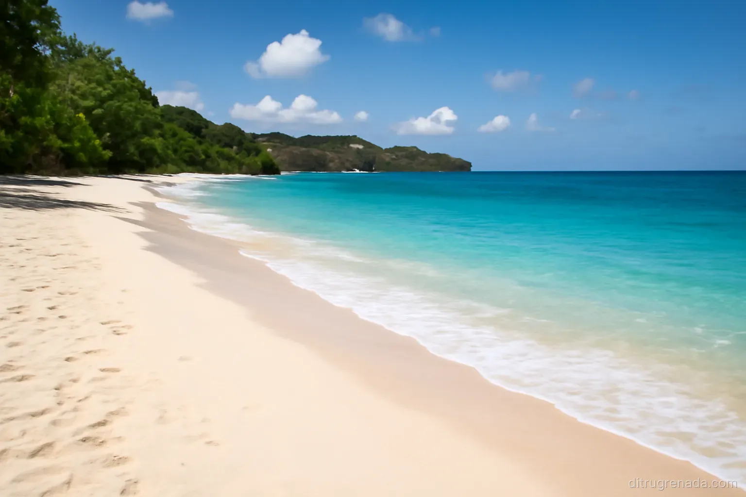 Tư vấn di trú Grenada cho người Việt